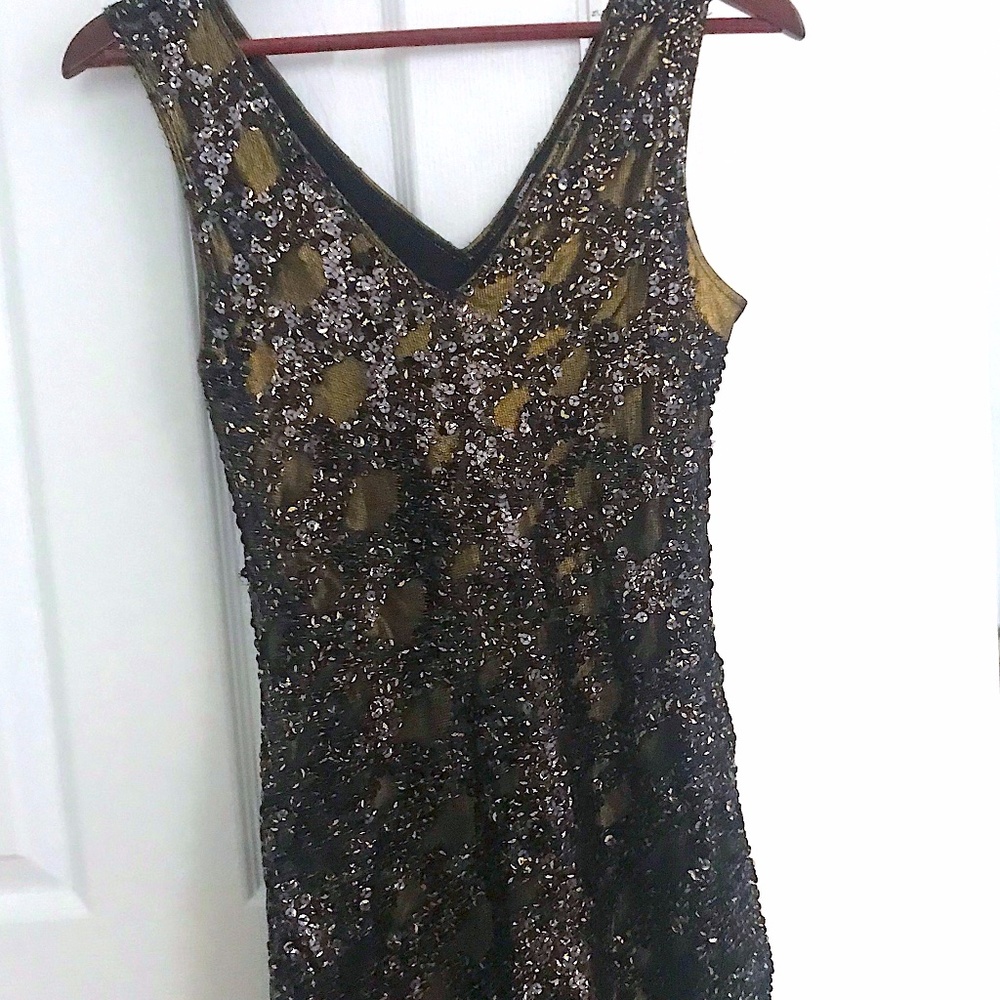 Express Sequins Dress